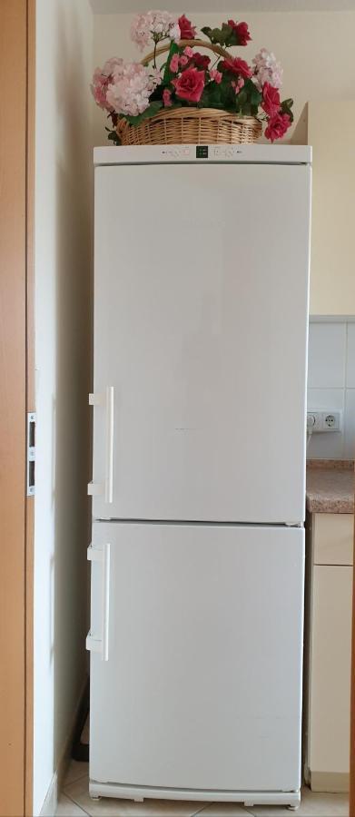 Ferienwohnung Maria - Bad Kissingen Luaran gambar